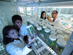 Science Laboratory 在线短信轰炸测试